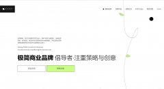 <strong>18、双11等流量高峰</strong>